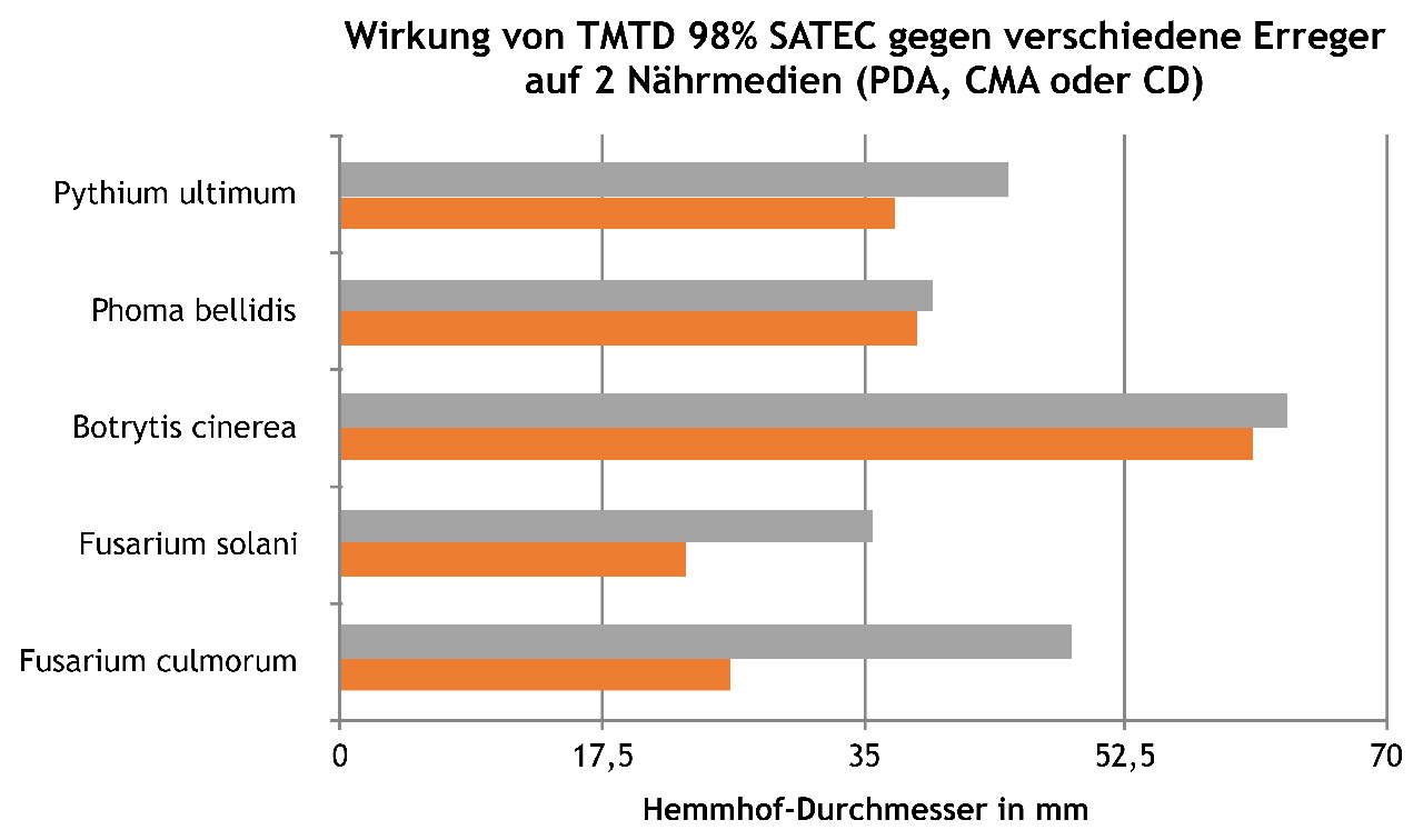 Wie wirkt die TMTD-Beizung